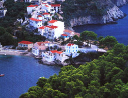assos